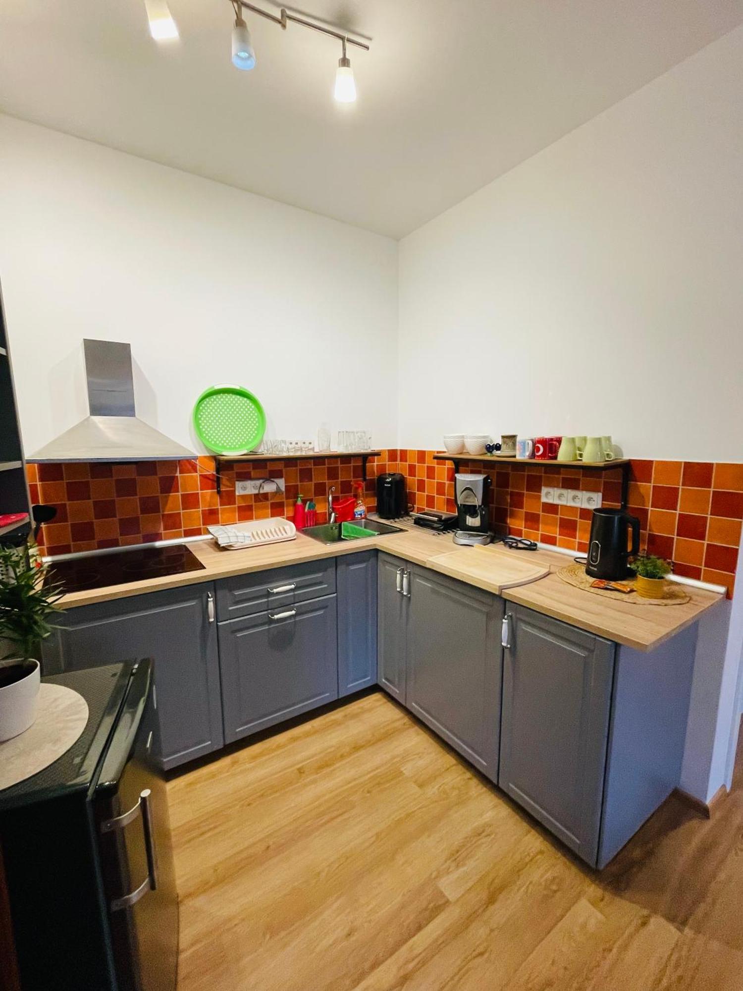 Apartman U Splavu Teplice nad Metují المظهر الخارجي الصورة